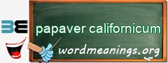 WordMeaning blackboard for papaver californicum